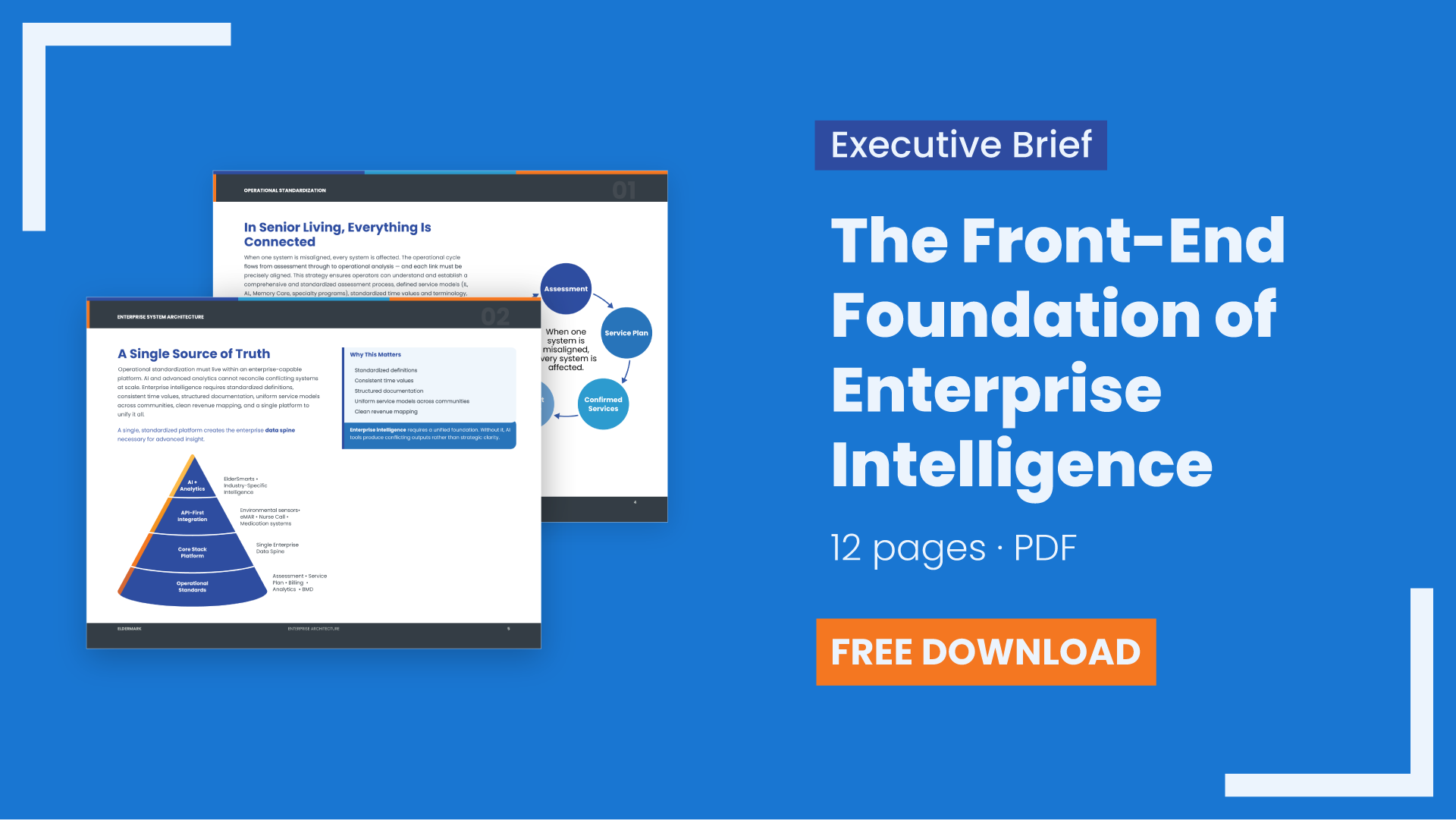 Enterprise Intelligence Page Build-1