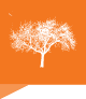 tree-icon-80x92